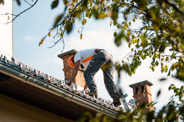 Best Flat Roof Repair Services  in Lugoff, SC